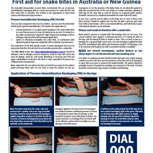 AVRU snake bite advice pdf