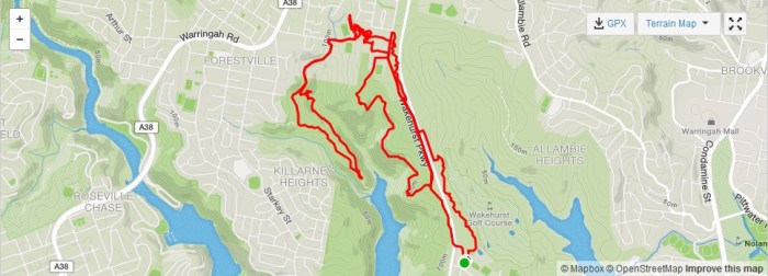 Gahnia Serrata strava